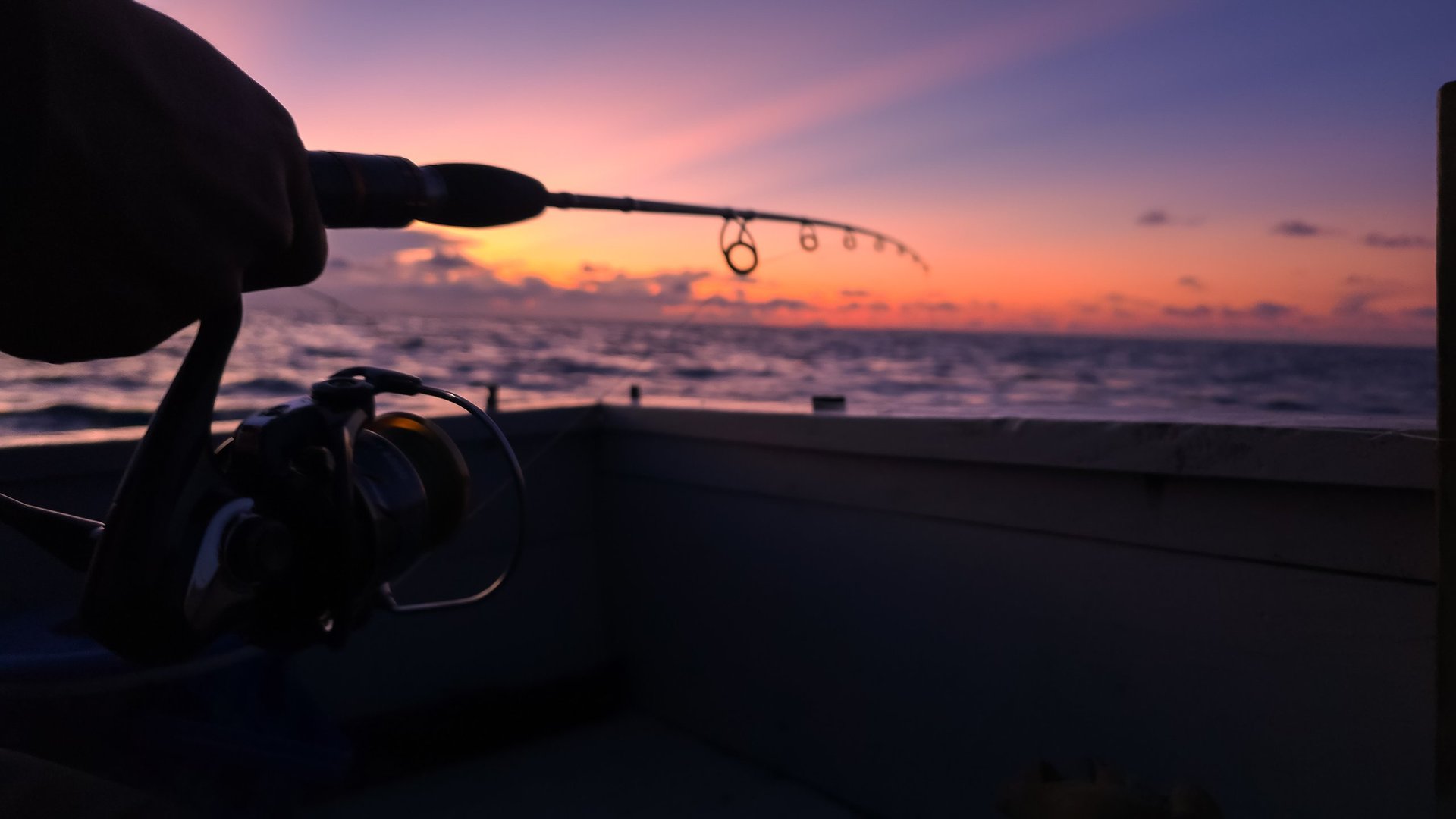 Fishing at sunset
